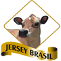 Jersey Brasil