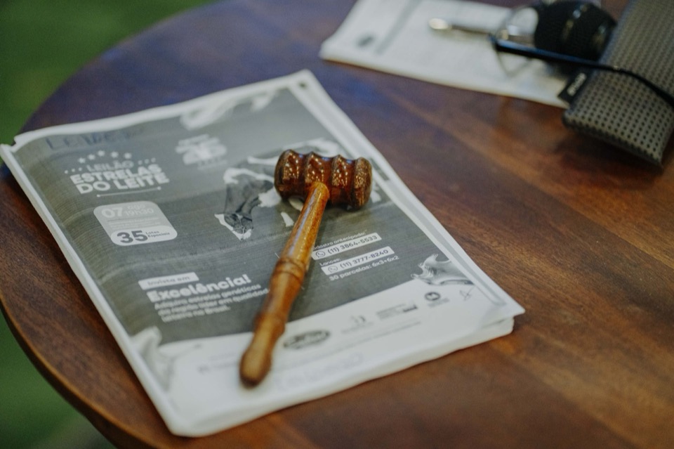 Leilão Estrelas do Leite