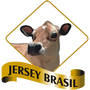Jersey Brasil